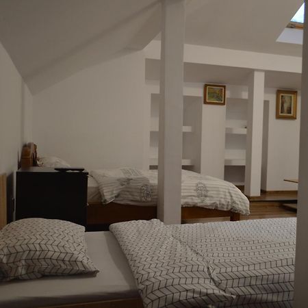 Pensiunea Visaventura Visan Buitenkant foto