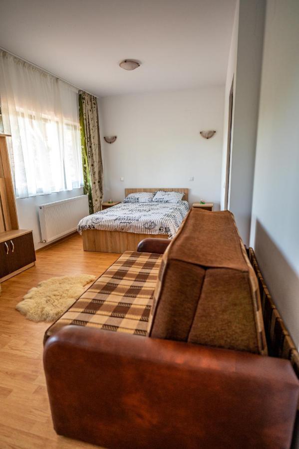 Pensiunea Visaventura Visan Buitenkant foto