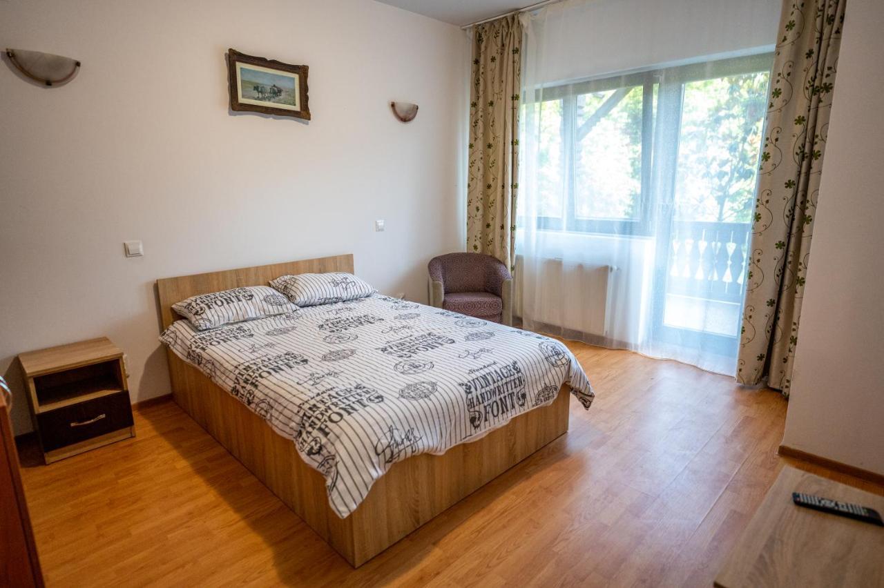 Pensiunea Visaventura Visan Buitenkant foto