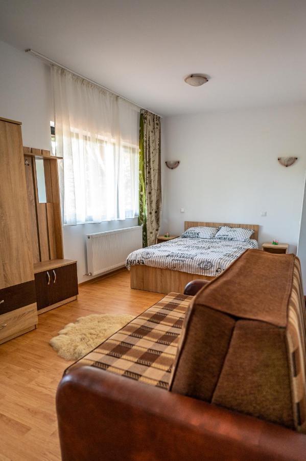 Pensiunea Visaventura Visan Buitenkant foto