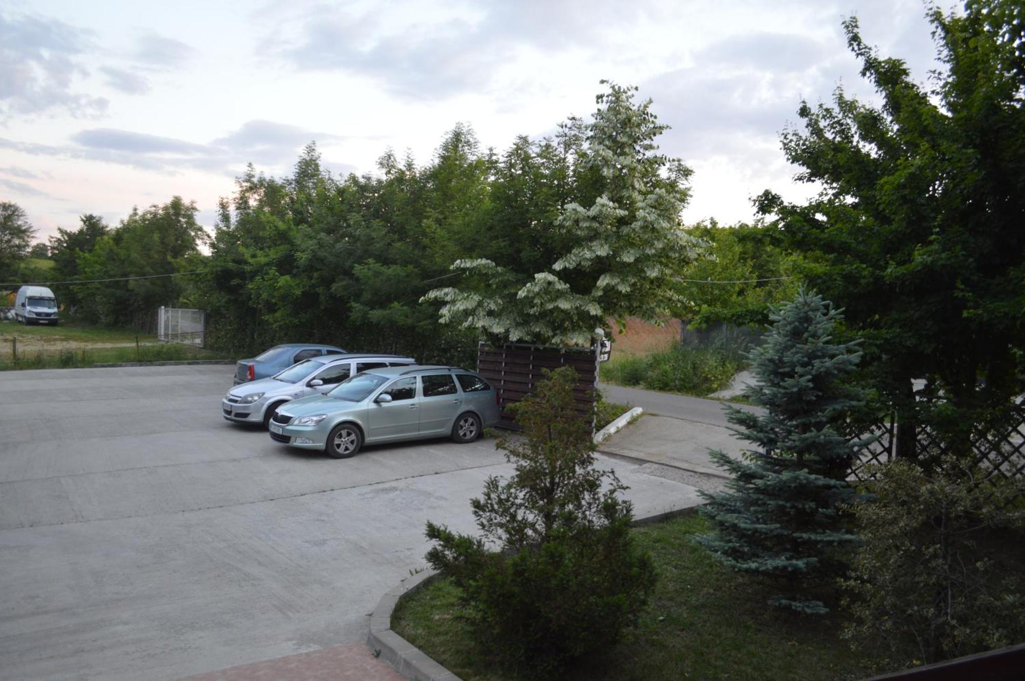 Pensiunea Visaventura Visan Buitenkant foto