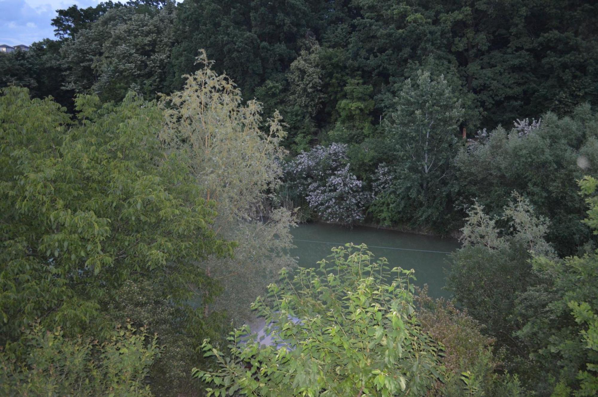 Pensiunea Visaventura Visan Buitenkant foto